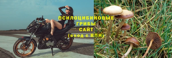 прущая мука Алзамай