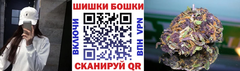 Канабис планчик  где купить наркоту  Сясьстрой 